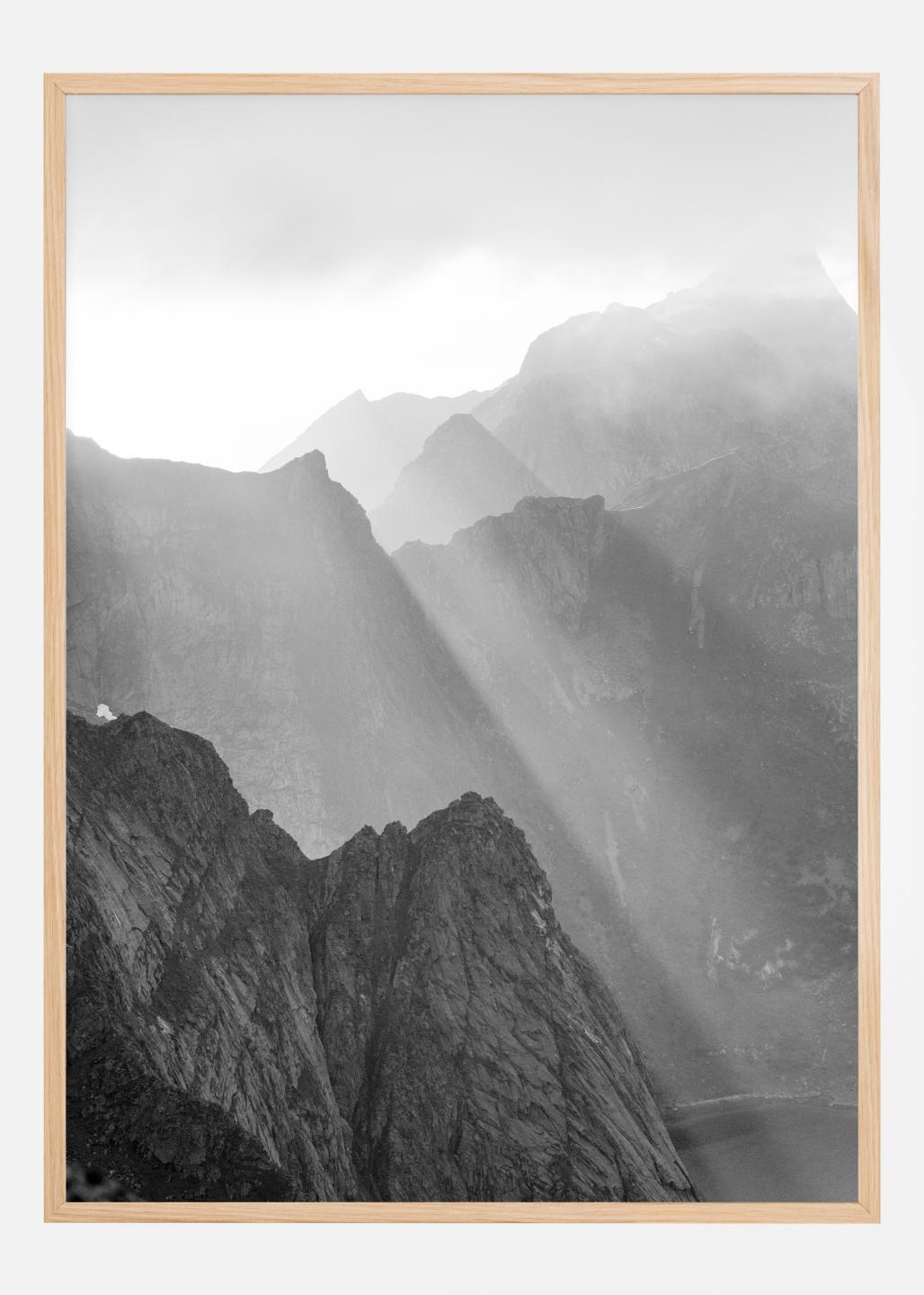 Acquista Foggy Forest Black & White I - 50x70 cm Poster qui 