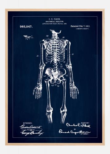 Affiche Dessin de Brevet Squelette Anatomique I - Jusqu'à la lune