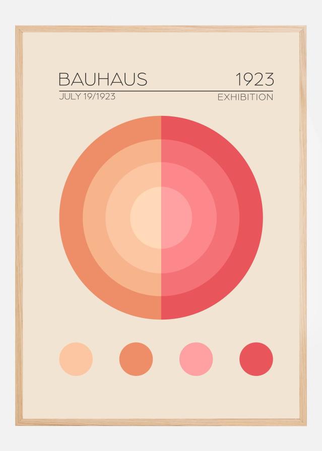 Bauhaus Pembe Daire Poster