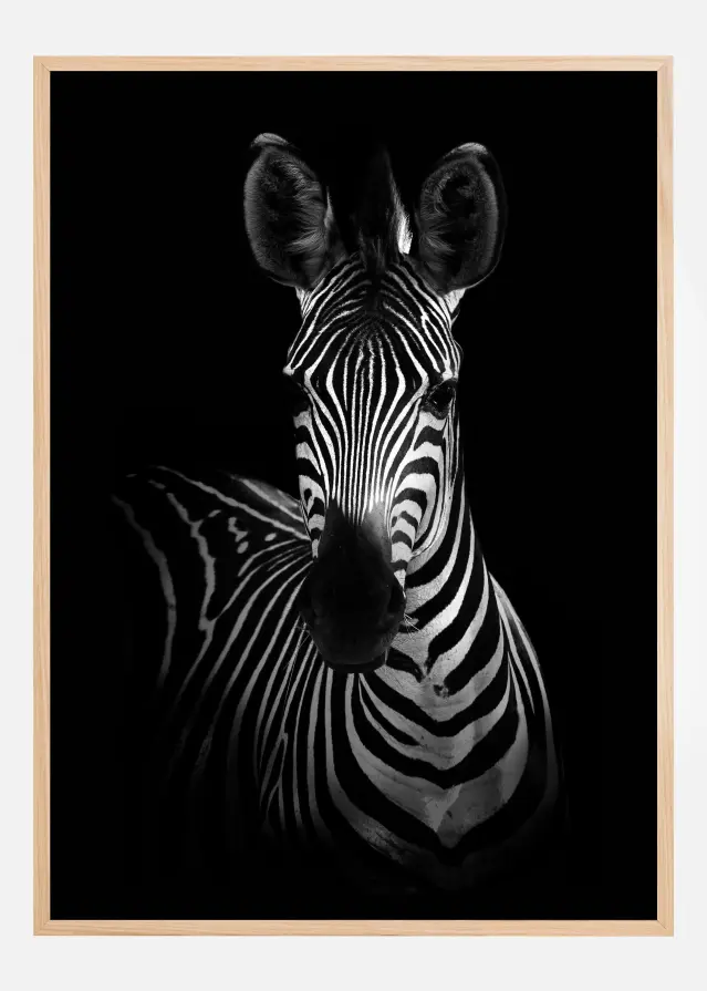 The Zebra Poster