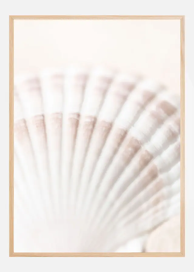 Shell Poster