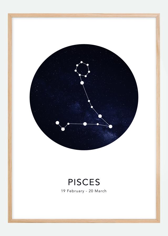 Pisces Poster