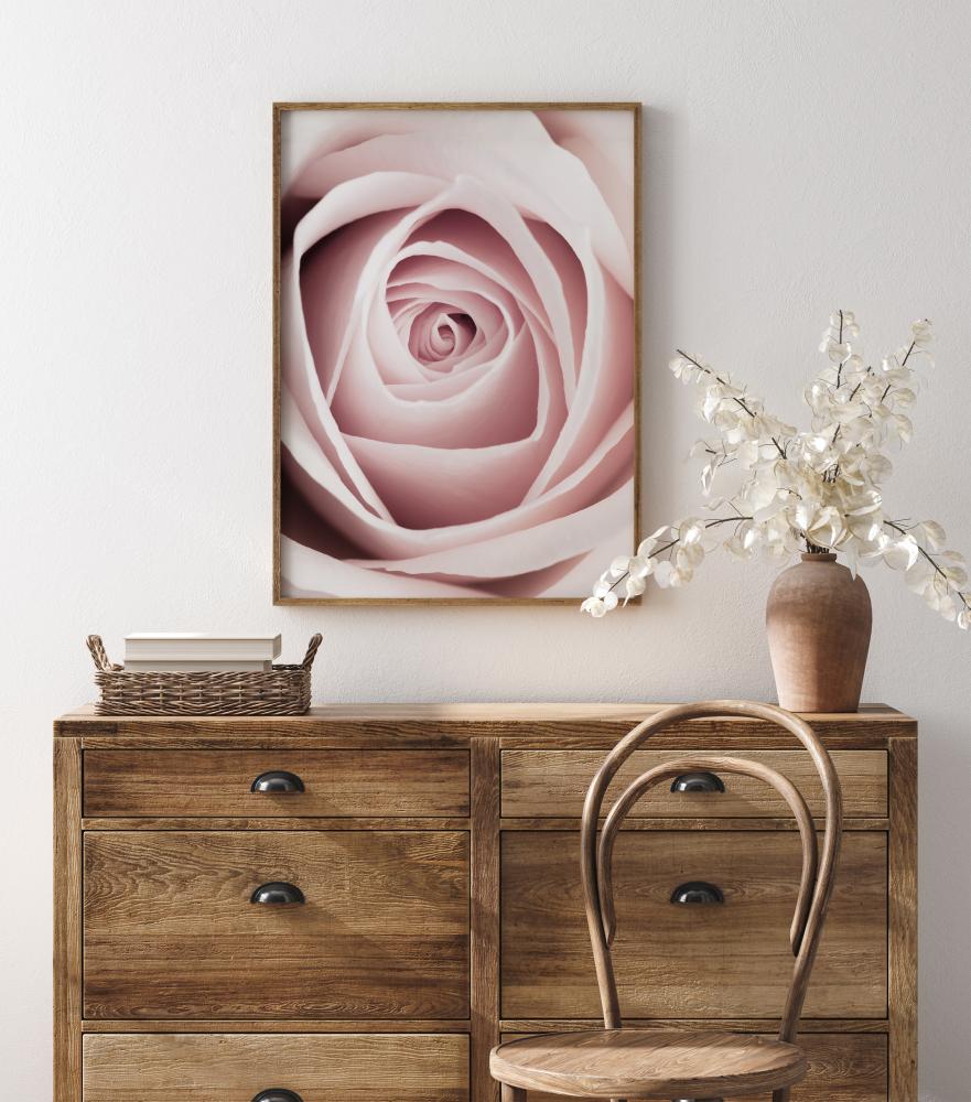 Pink Rose Poster