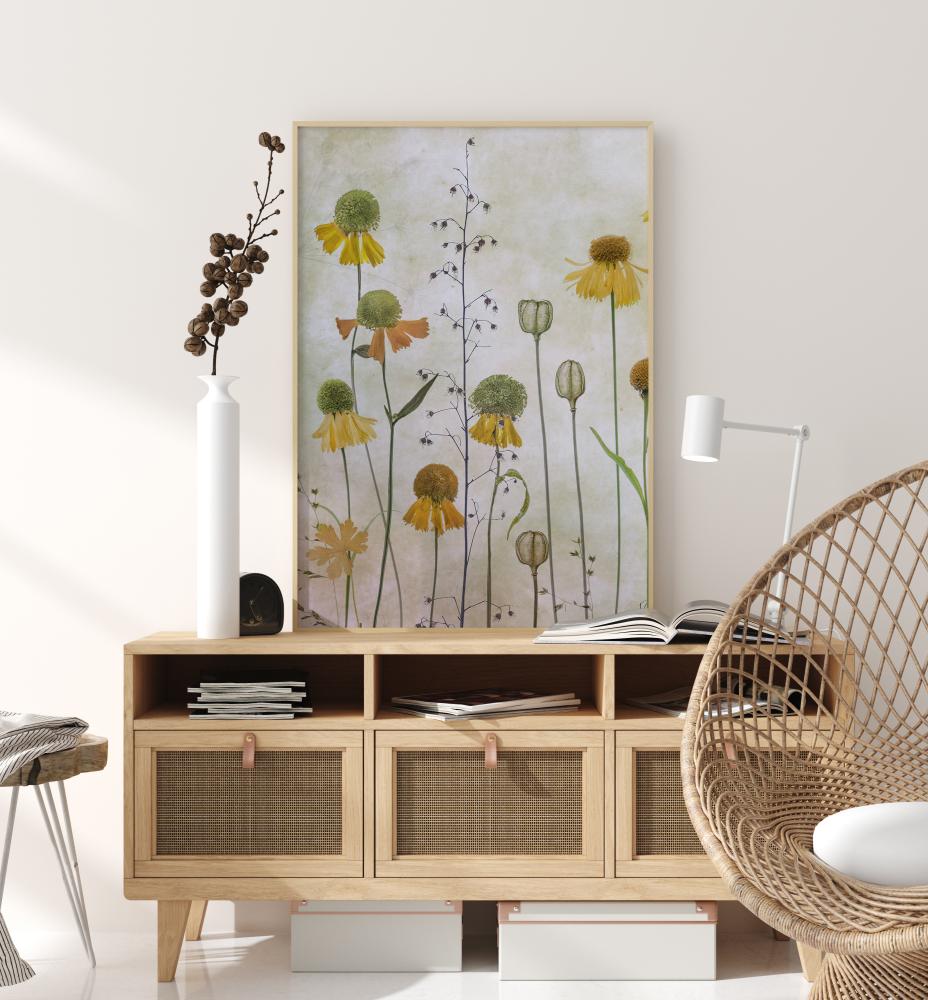 Helenium Poster