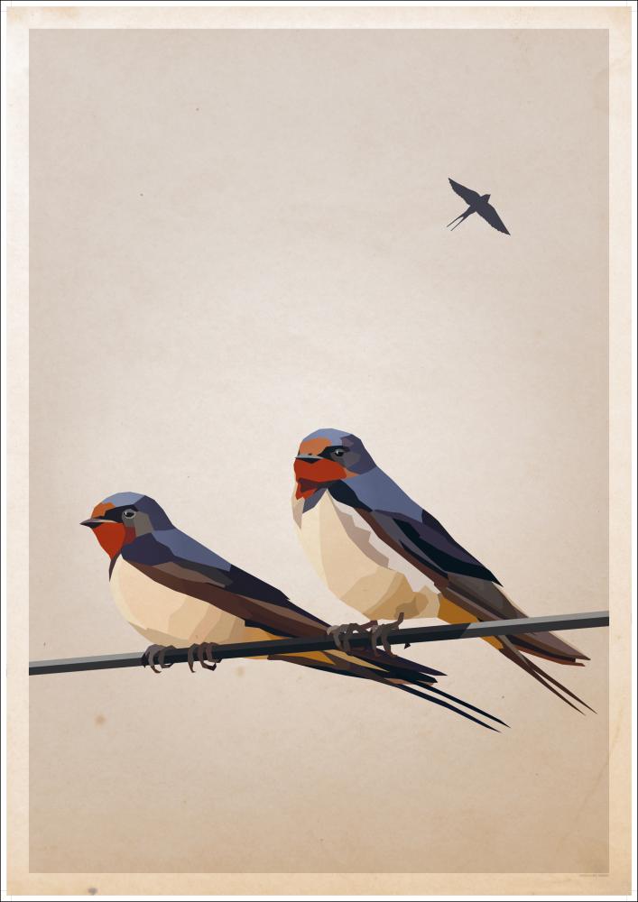 Swallows Poster