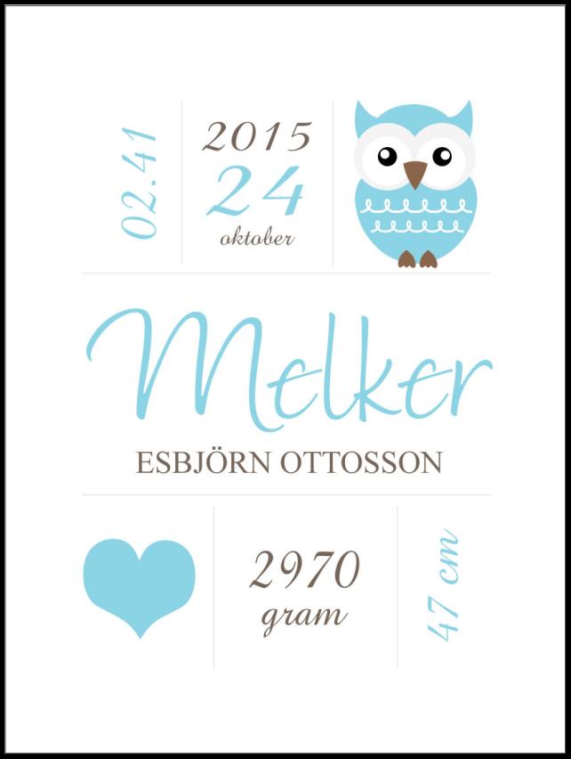 Owl Birth Poster Blue