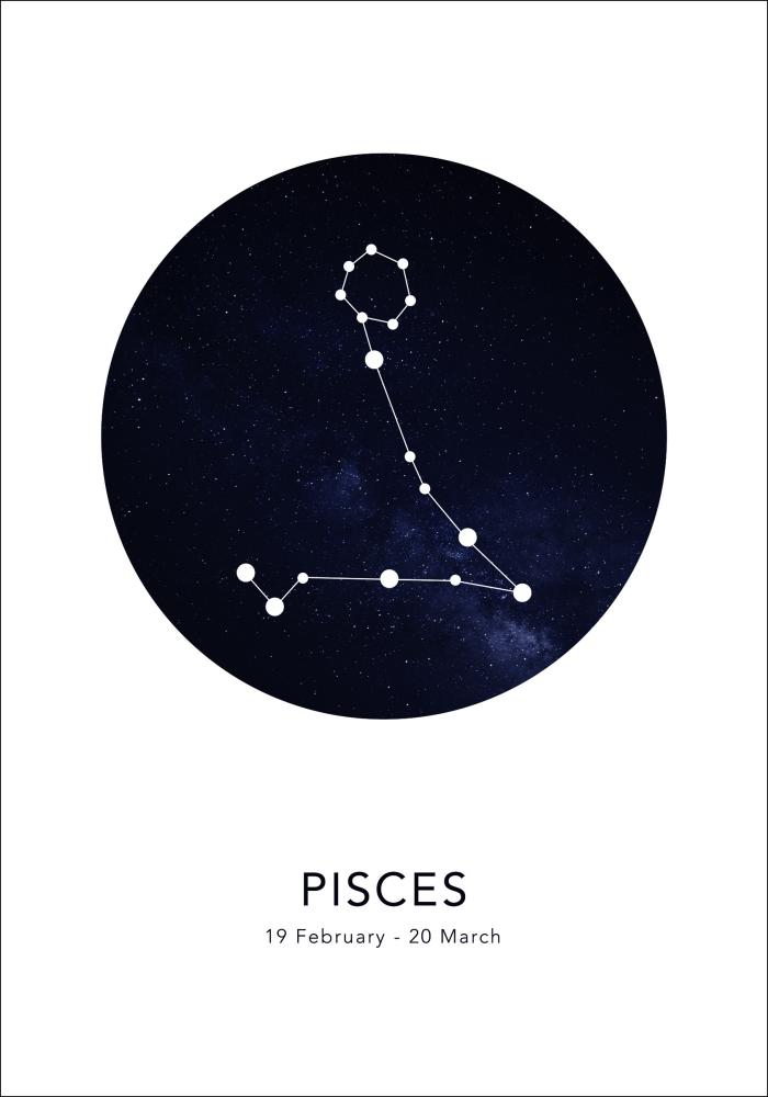 Pisces Poster