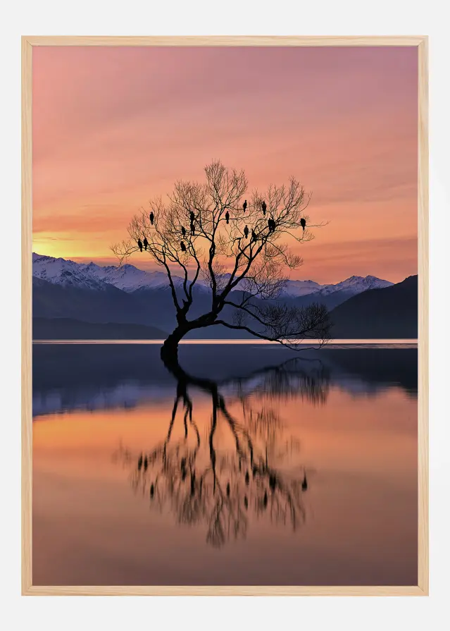 Lone Tree Is Not Lonely Poster