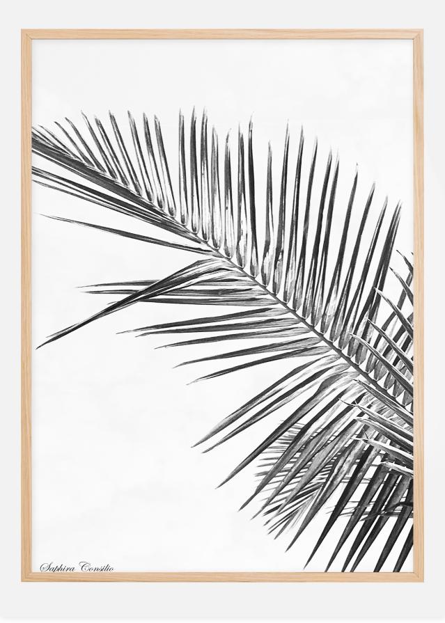 Black palm Poster