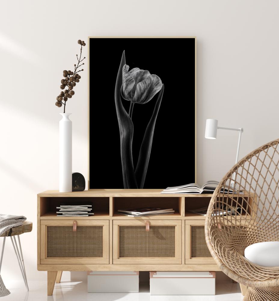 Rembrandt Tulip Poster