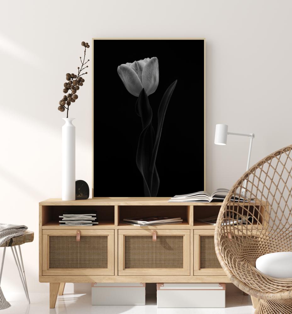 Tulip Poster