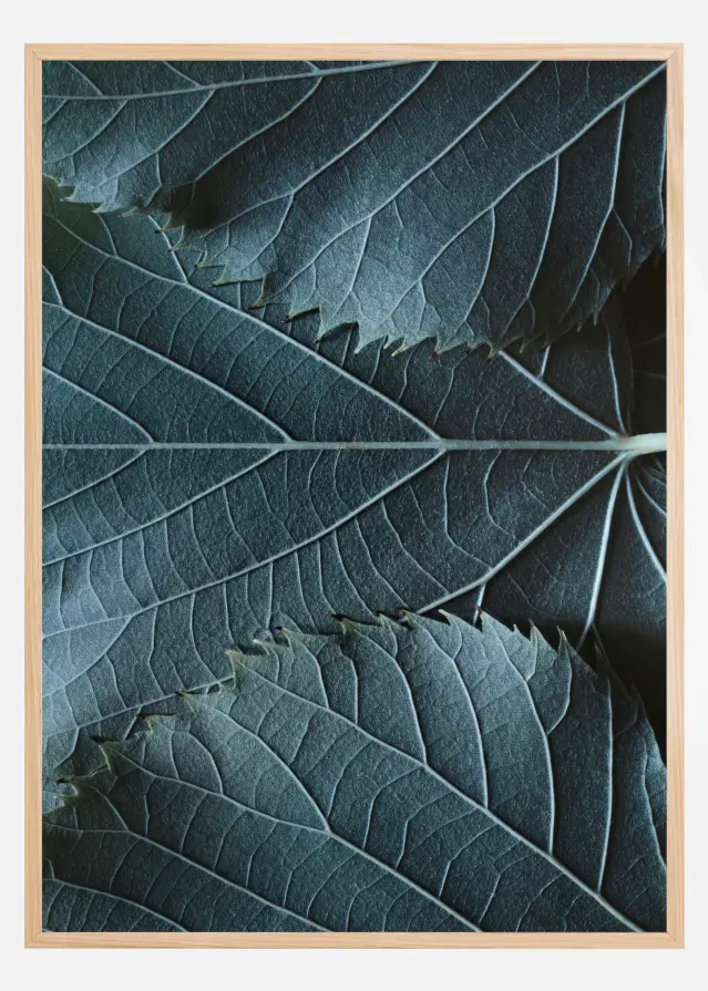 Blue Leaves Poster