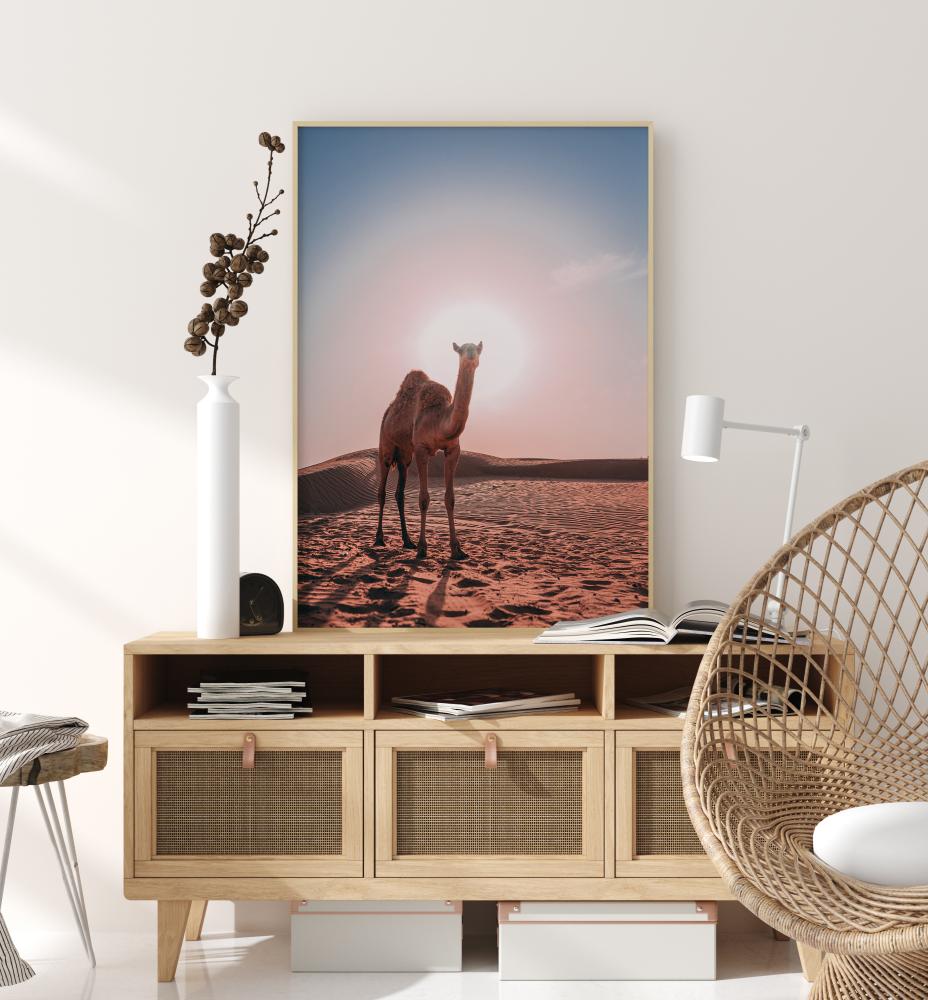 Camel Poster