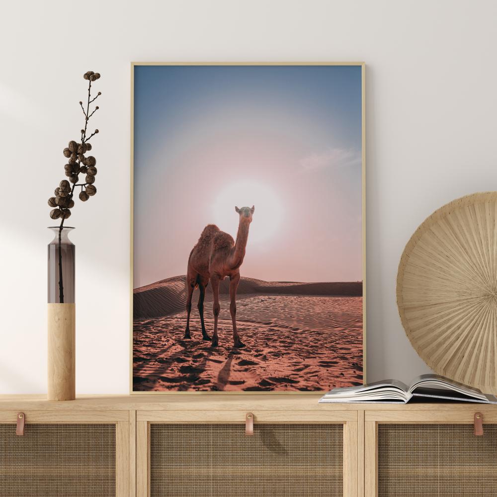 Camel Poster