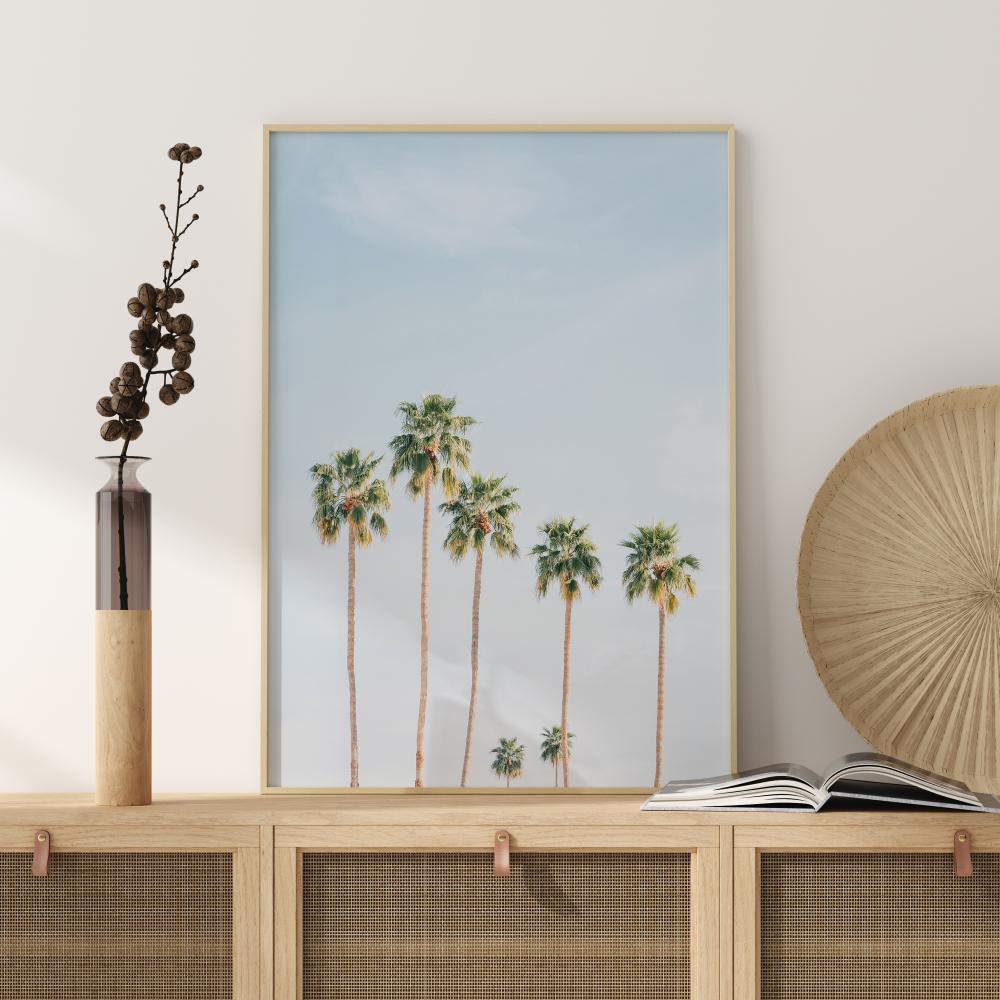 Palm Trees Poster