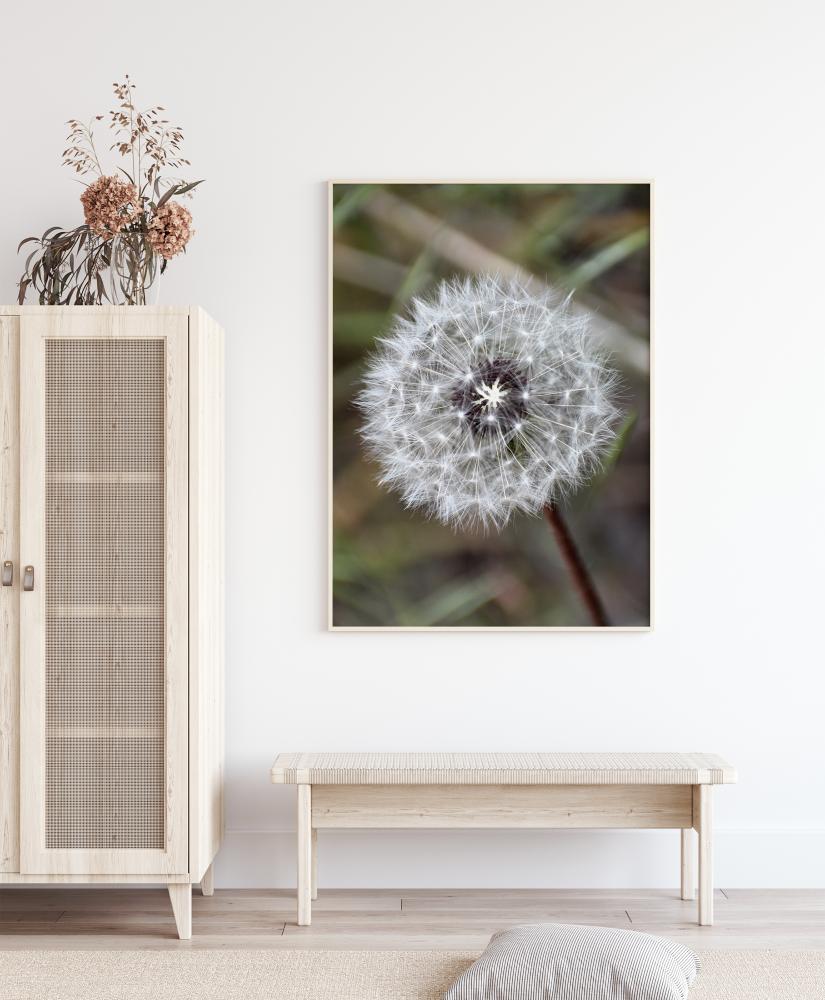 Dandelion Poster