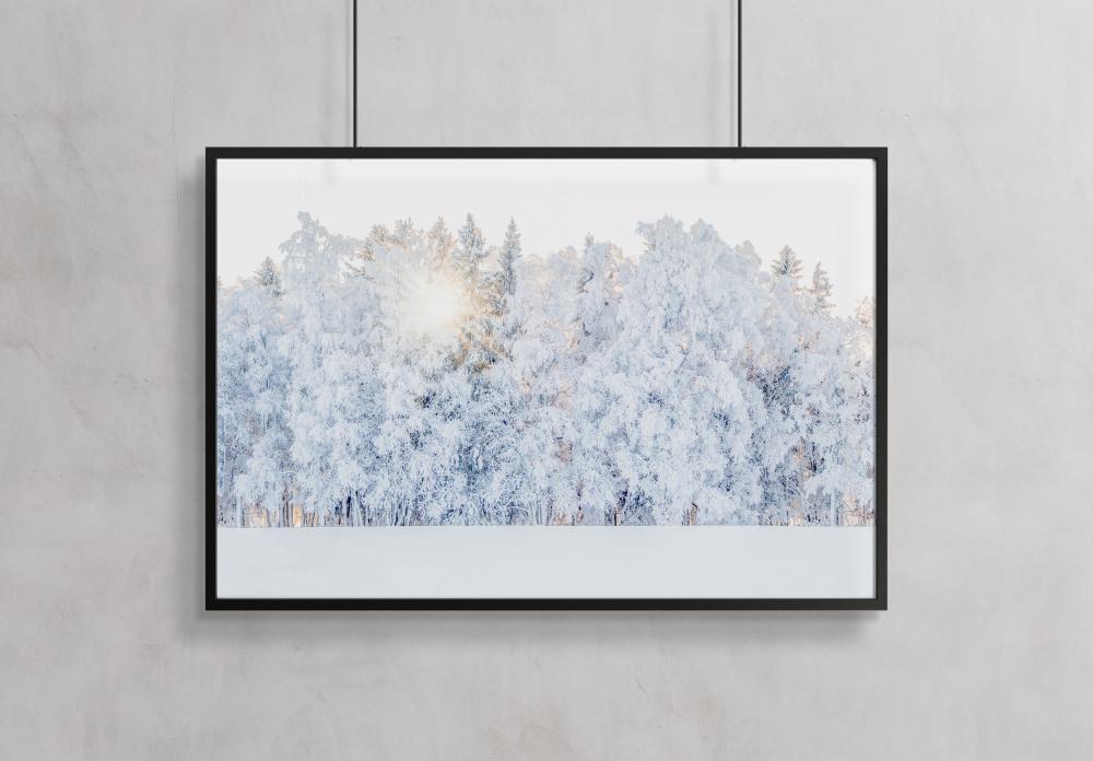 Winter light Poster