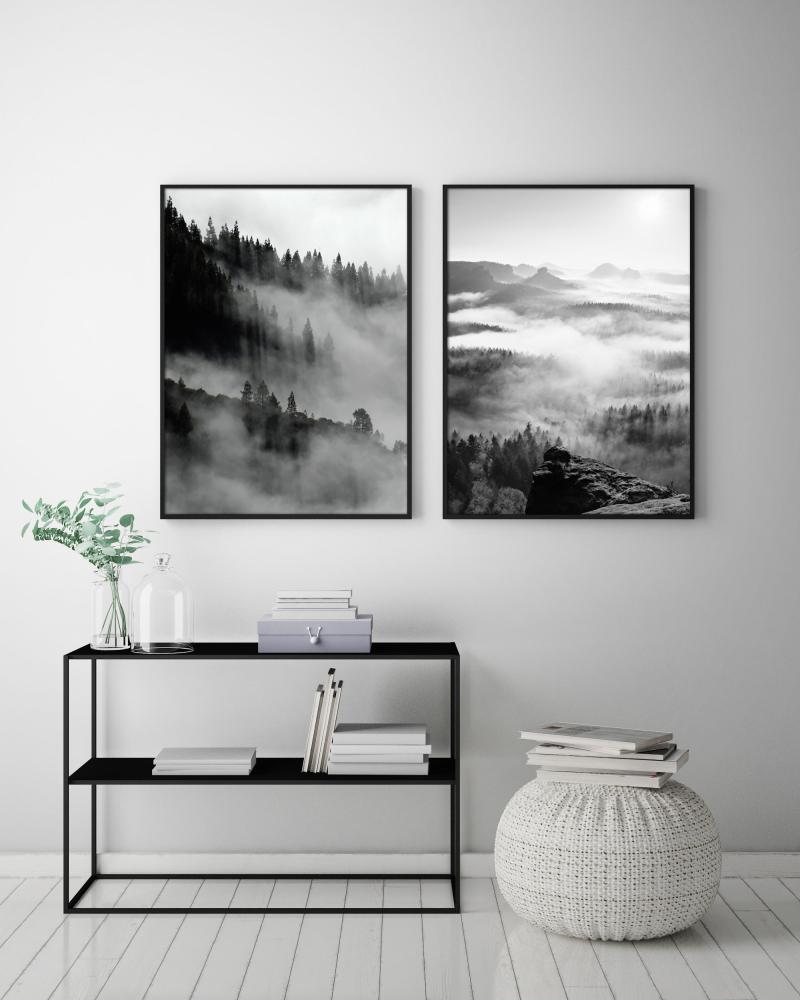 Foggy Forest Black & White I - 50x70 cm Poster