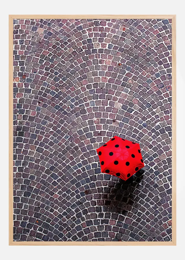 Urban Ladybug Poster