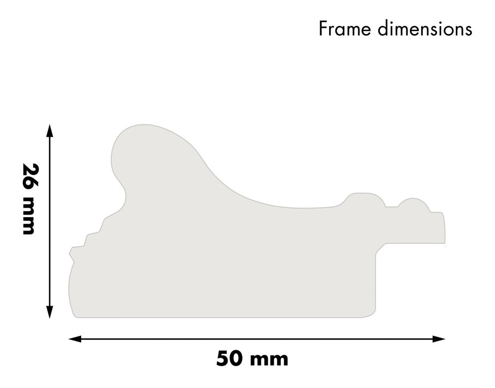 Miroir Rokoko Or 64x170 cm