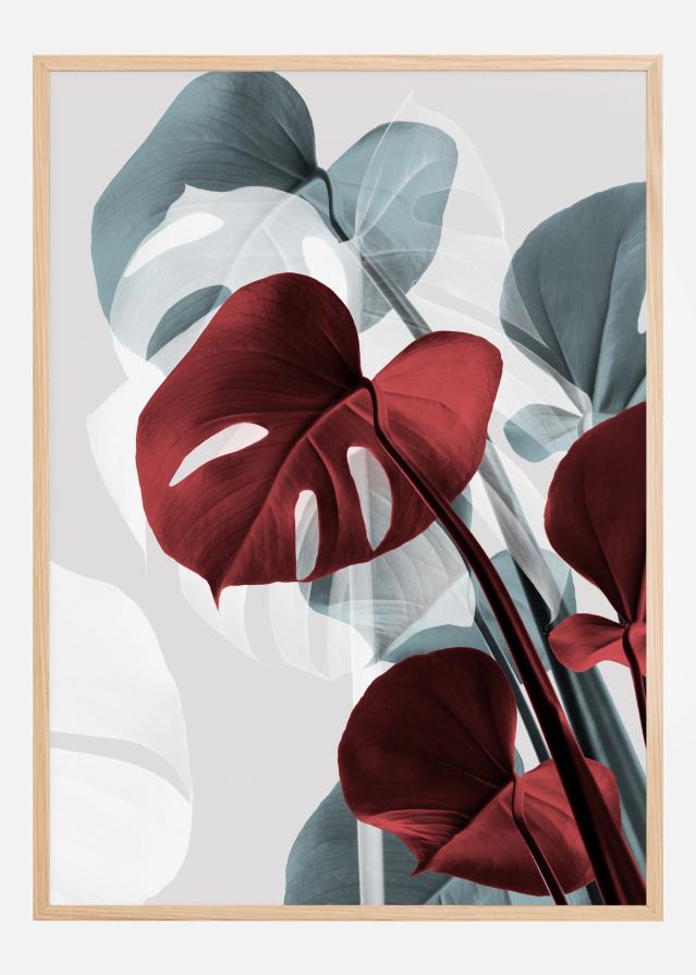 Monstera Creative II Poster