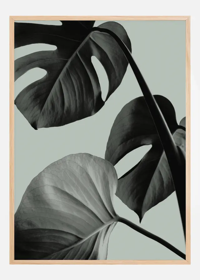 Monstera Teal I Poster