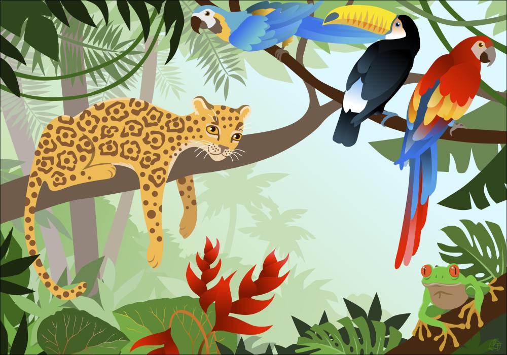 Jungle Animals Poster