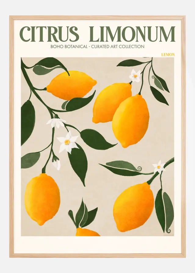 Boho Citrus Limonum Poster