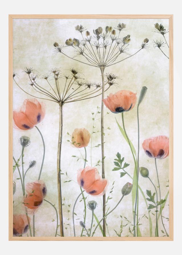 Poppy Meadow Poster