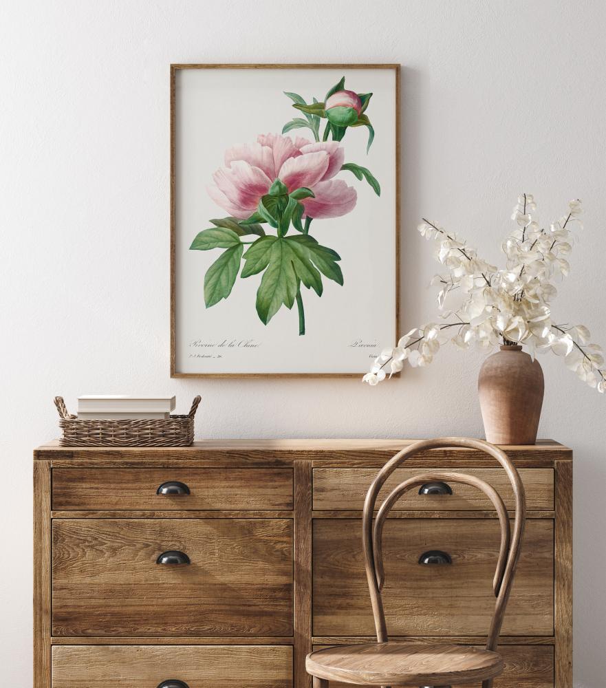 Peony Poster